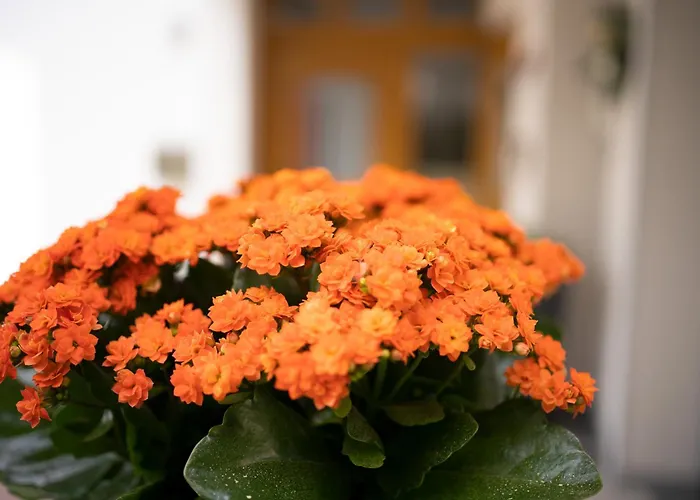 Am Waldrand Lejlighed *